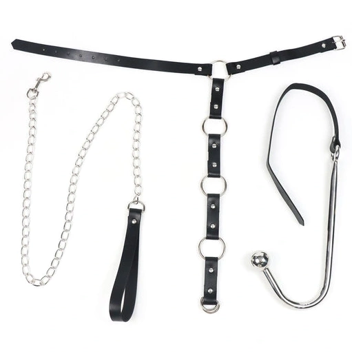 Anal Hooks EverydayUse Anal Kinky Collar Leash Hook with 5853 and 1007